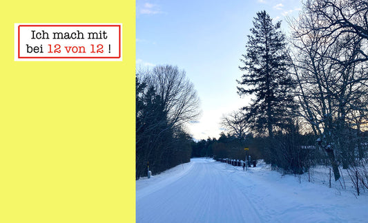 12 von 12 im Januar – Frischen Spuren folgen